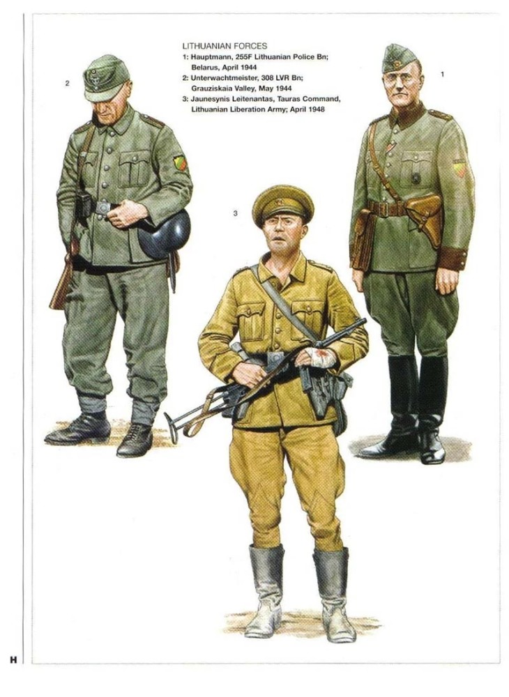 二战德国东线盟军,波罗的海各国军队服装及单兵装备详解