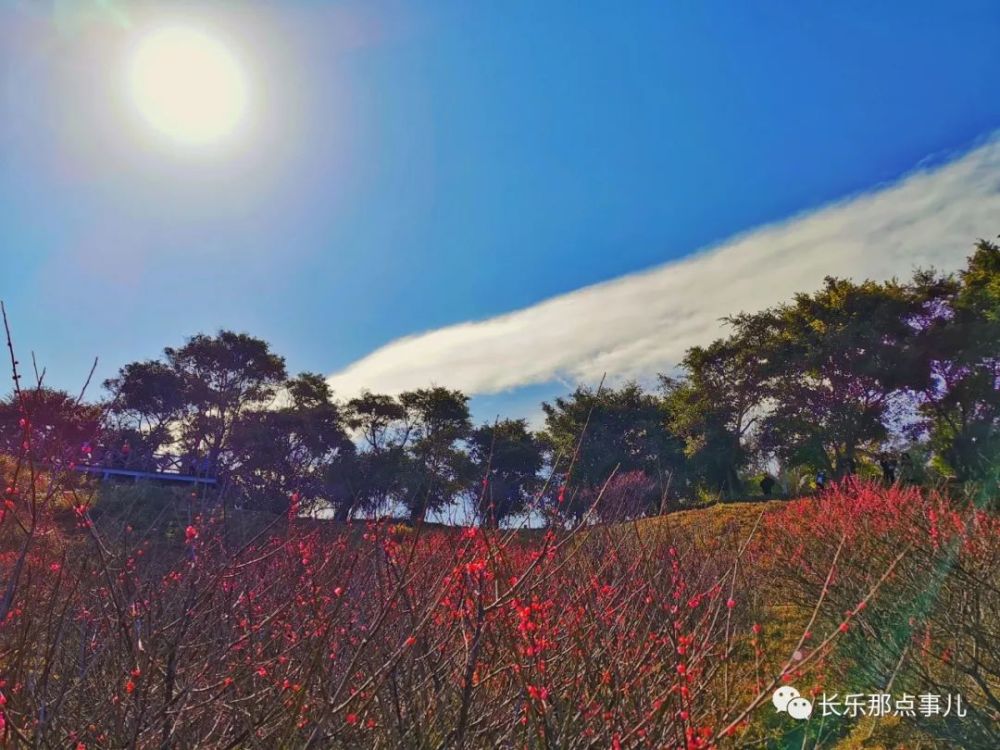 长乐这个网红景区堵到爆!当地人:连家都回不去了