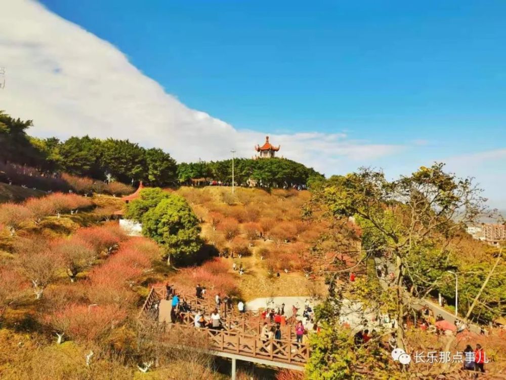 长乐这个网红景区堵到爆!当地人:连家都回不去了