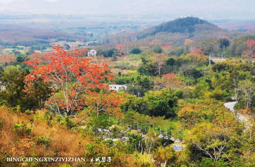 一条山路直通观景区,可以远望梯田与木棉花相间的景色,可惜田间的