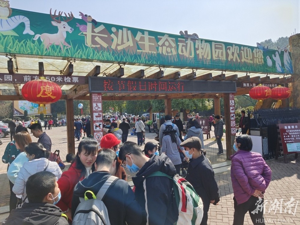 外省留长过年务工人员免费游长沙生态动物园