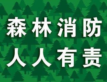 护林防火标语林业宣传口号|森林|林区