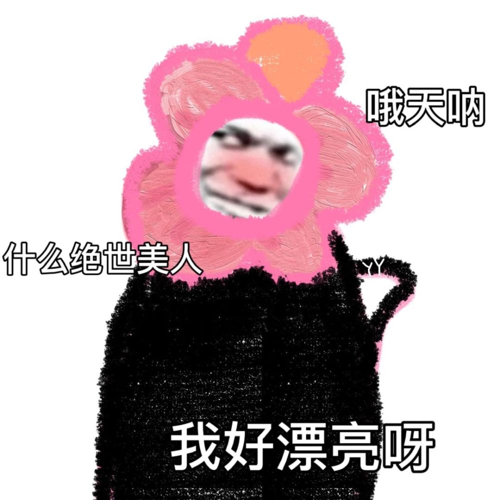 表情包:谁啊这是太美了吧