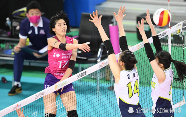 韩国女排震动,李在英李多英受到严厉处罚,多方面受影响