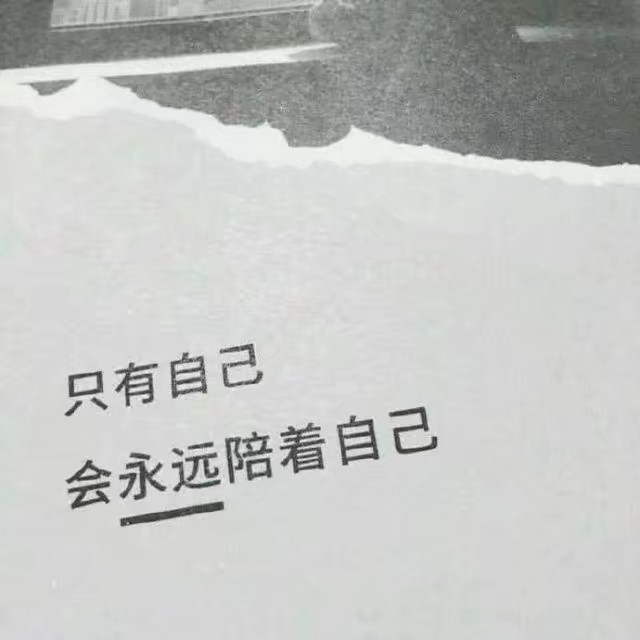 富士山终究留不住欲落的樱花 白山茶终究抵不过红玫瑰.