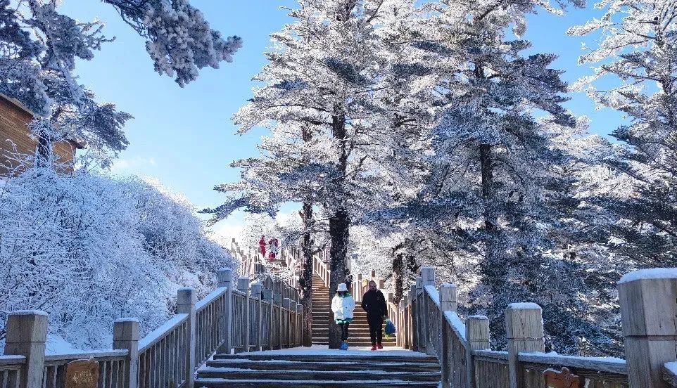 成都周边多个景区下雪,"倒春寒"开始了?气象台回答