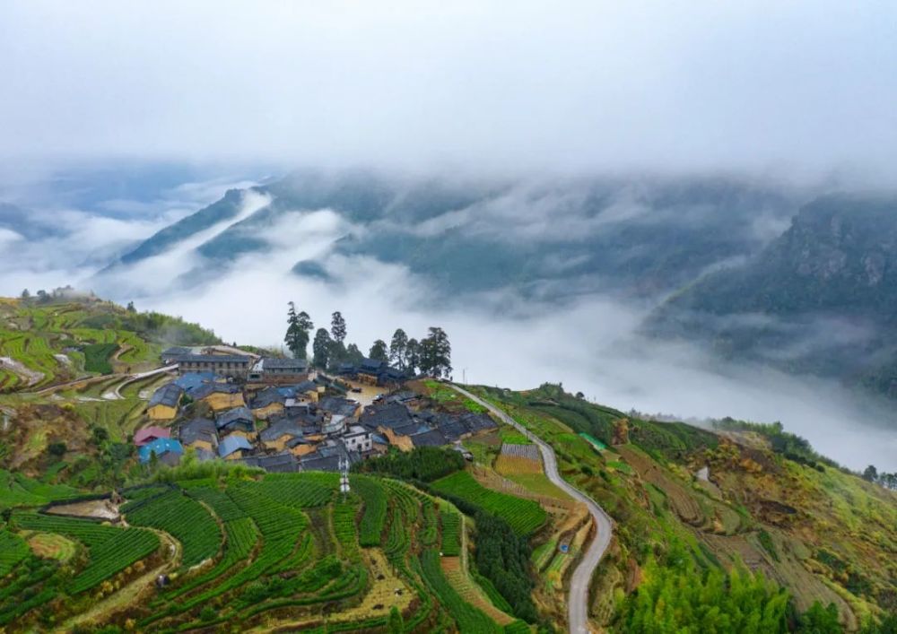 政和旅游|佛子山景区"游"起来