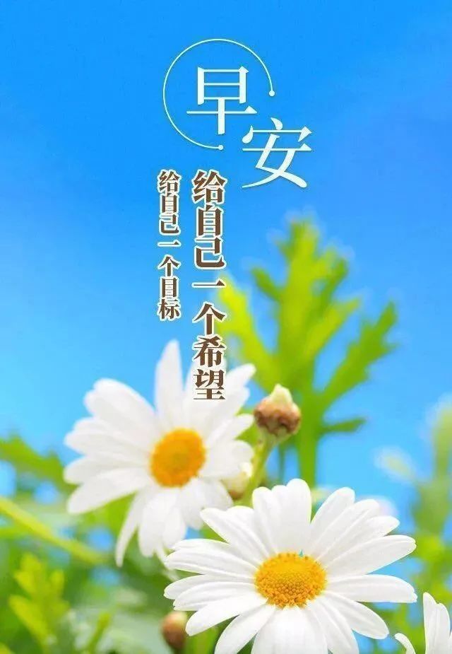 早安心情说说感悟生活的句子带图片
