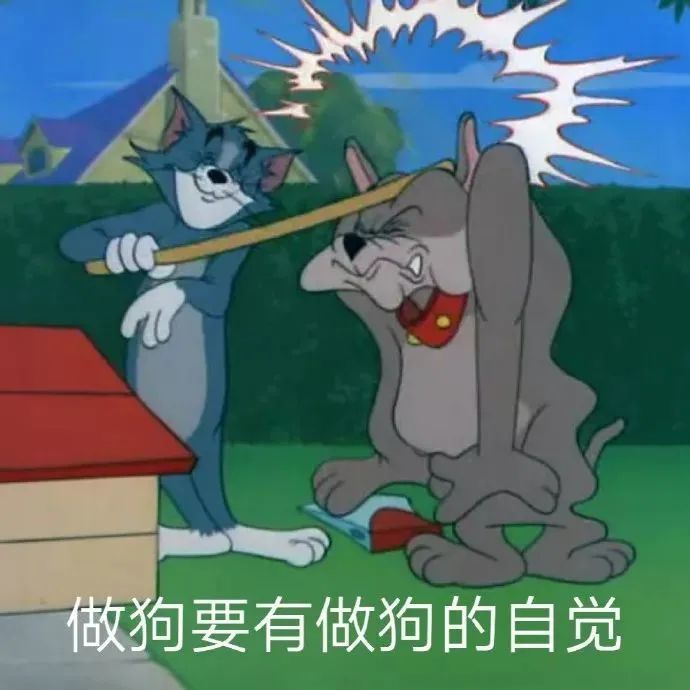 表情包|签收下猫和老鼠表情包