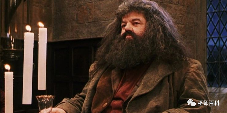 rubeus hagrid 鲁伯·海格02然而,露娜不仅擅长于施展所学的魔法