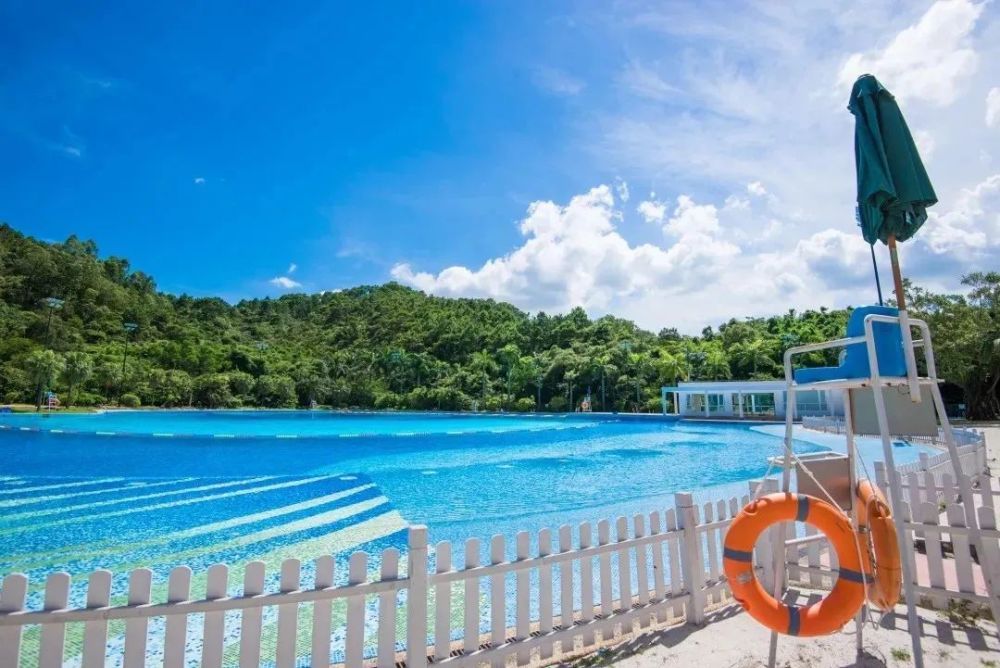 游泳池 珠海的夏日是炎热的,而游泳池可以给你一个清凉的夏天.