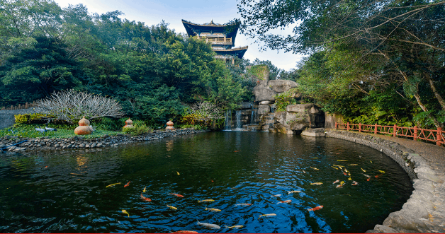 琤唐酒店; d2:南丽湖国家湿地公园久温塘冷泉午餐(定安农家菜)皇坡