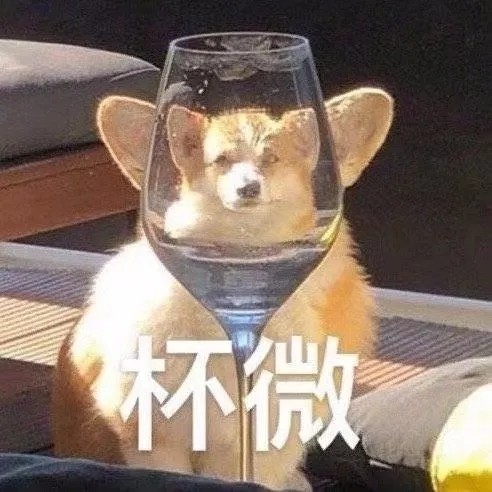 萌宠表情包:难过到夹不起来!