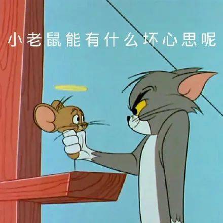 表情包猫和老鼠小老鼠能有什么坏心思呢