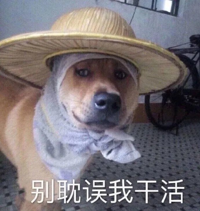 微信表情包 |飞吻