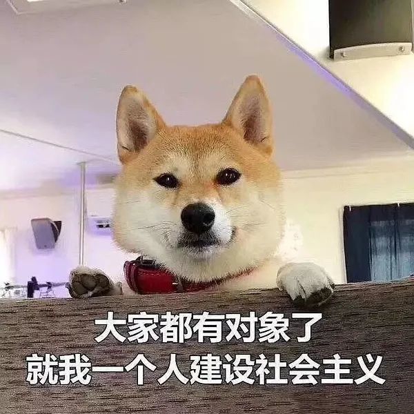 国家分配对象,上门牵线,在古代有官媒就不怕单身!