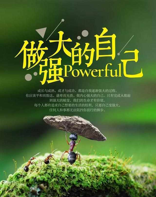 美丽的风景,励志的图片