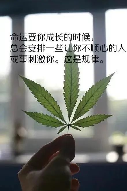 适合发朋友圈的说说心情短语,总有一句符合你的心情