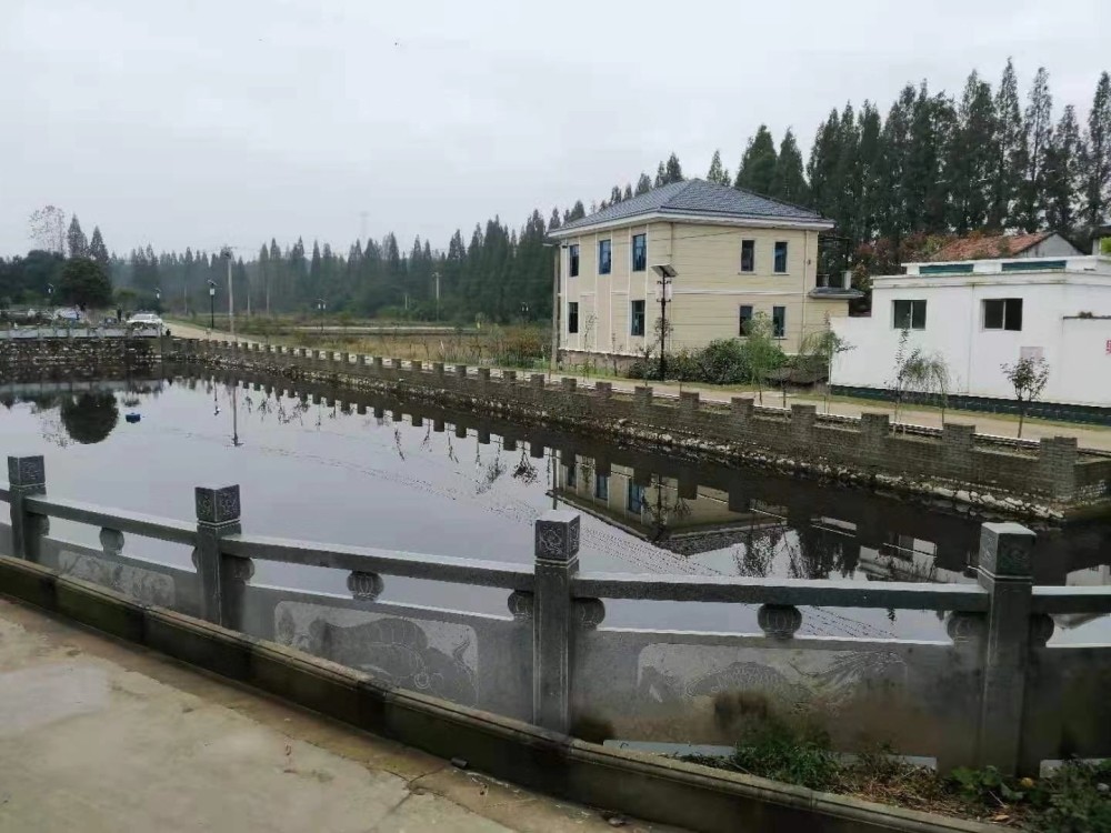 湖北红安县高桥镇吴家大湾村乡贤助力村民共建带来的新变化