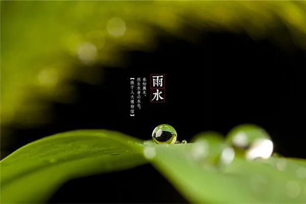 雨水节气简短说说祝福语文案愿你生活如雨得水每天笑雨连连