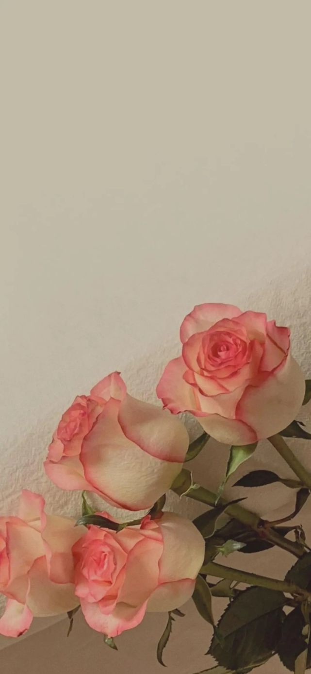 苹果全面屏最火壁纸,苹果手机壁纸抖音最火 苹果xr壁纸,iphone12壁纸,安卓全屏壁纸)全面屏壁纸高清图,2021好看的
