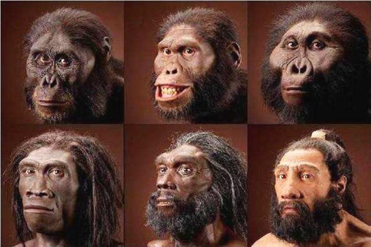 就是1万年前到5万年前这一段时间里面出现了的人类,被称为人类的祖先