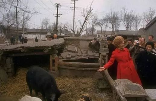 1972年,美国总统尼克松的夫人帕特访华期间参观中国猪圈,帕特女士还