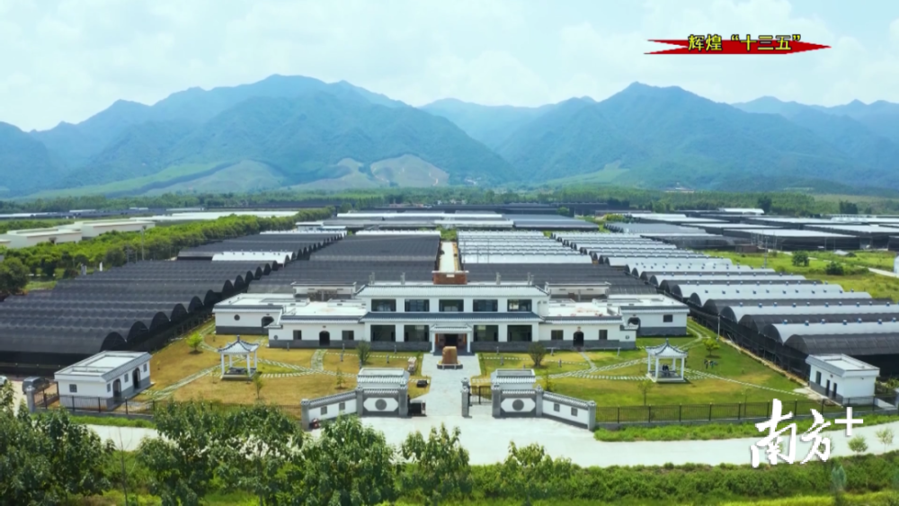 翁源gdp_翁源龙仙龙湖夜景