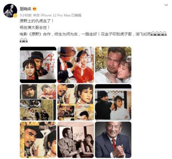 杨在葆病逝,妻子悲痛透露死因及丧礼,张金玲刘晓庆冯远征哀悼