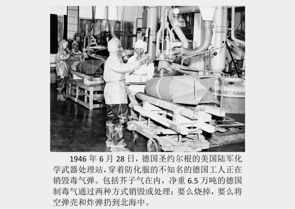 如果美国死亡一亿人口_美国人口思维导图