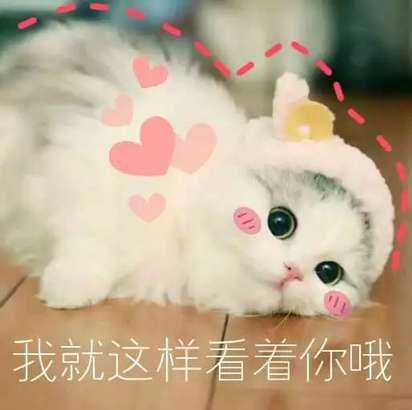一组向男朋友撒娇用的超可爱表情包