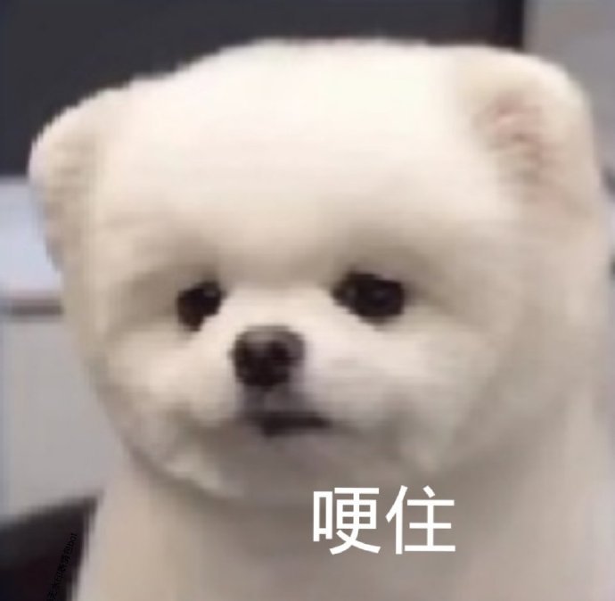 萌宠表情包我会转身离开