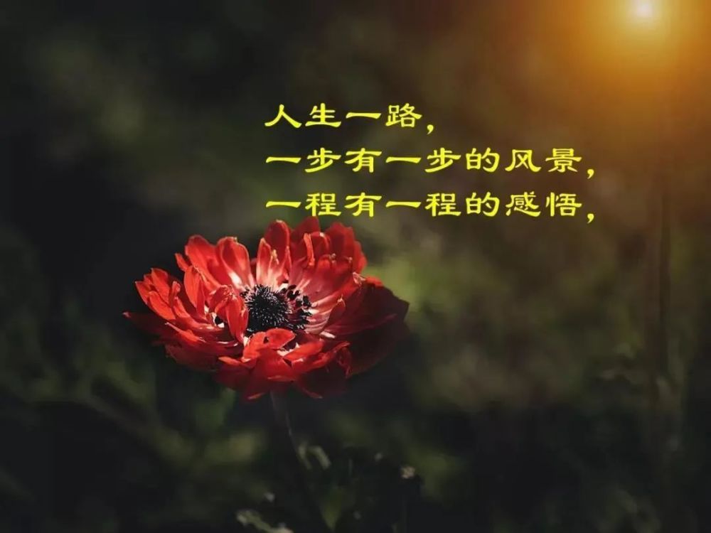 朋友圈说说好句子,简单又有哲理的短句子