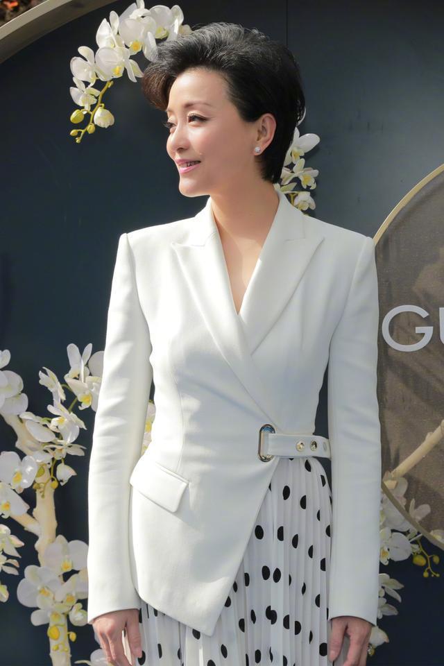 杨澜气质真好西装配本身纱裙知性又优雅干练大气又不失女人味
