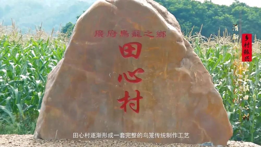 乡村振兴美丽乡村田心村小小鸟笼映射出乡村振兴的美好愿景