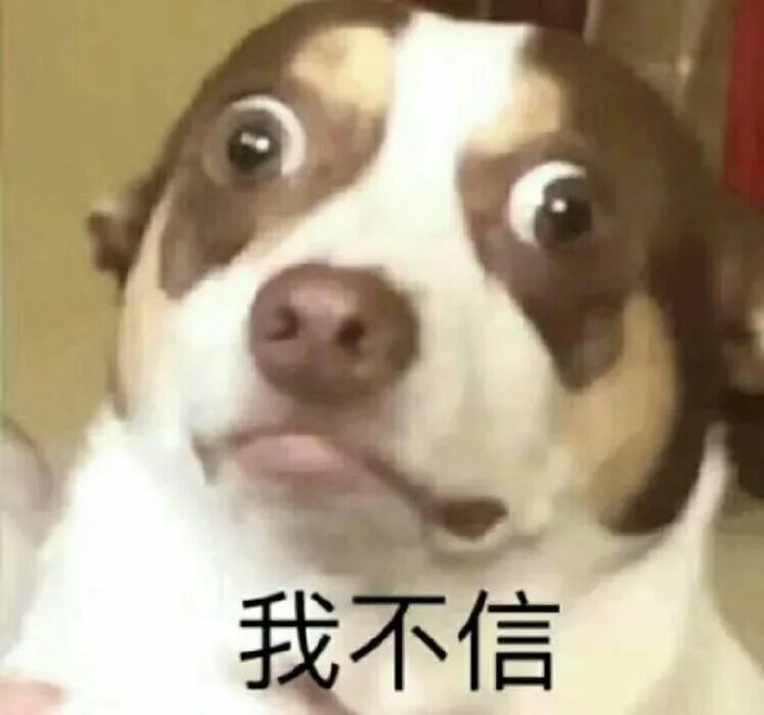 表情包|微信聊天套路表情包,小动物表情包,可爱喵星人