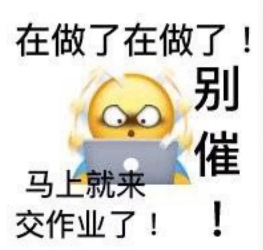表情包|微信聊天套路表情包,小动物表情包,可爱喵星人