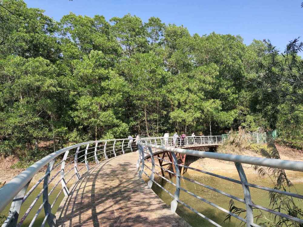 青山绿水吊桥相连,空气清晰湖水边-深圳聚龙山公园.
