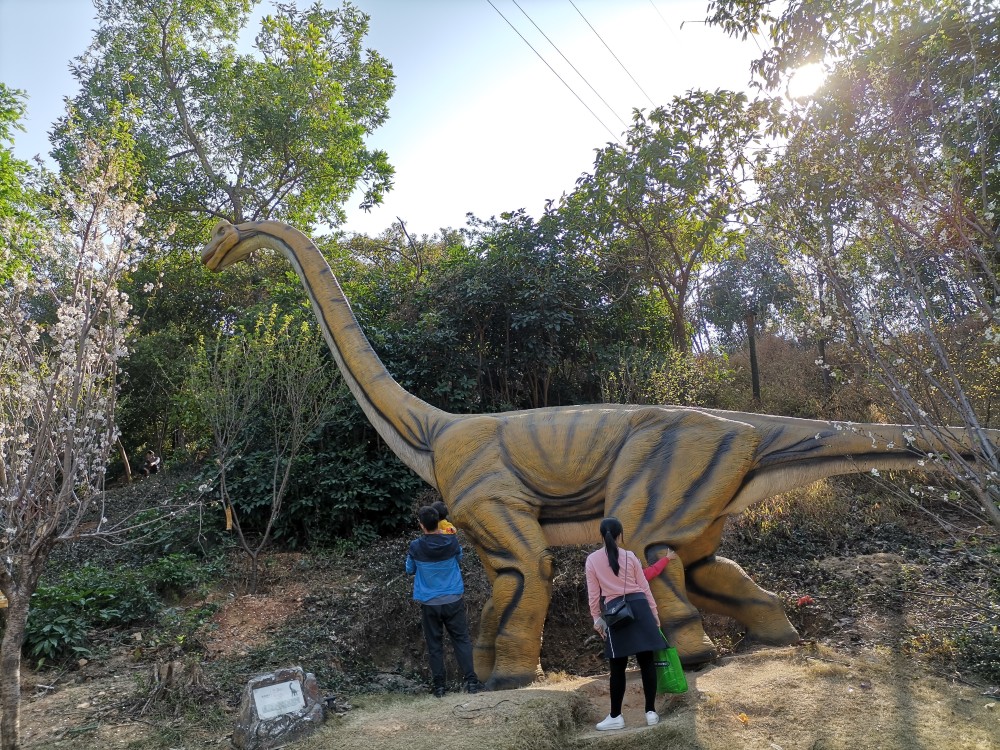 体验长城的壮观,走近"恐龙时代"-深圳求水山公园.