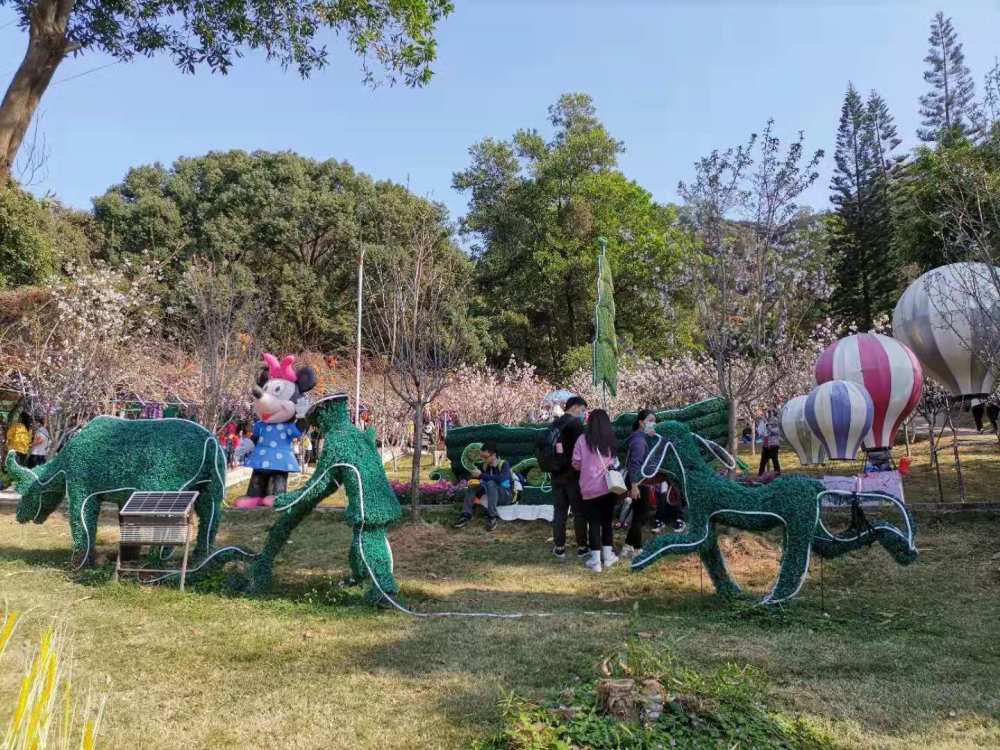 体验长城的壮观,走近"恐龙时代"-深圳求水山公园.