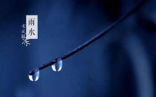 雨水节气祝福句子 祝你雨水季节如意笑!