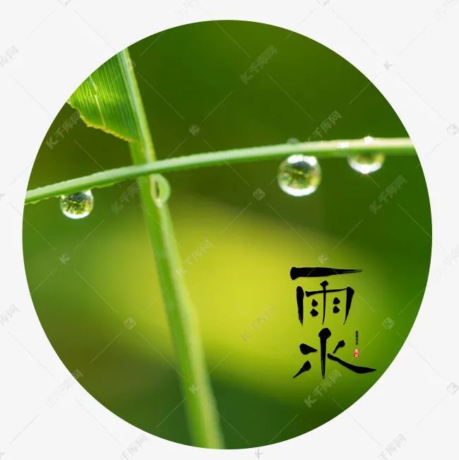 雨水节气祝福句子 祝你雨水季节如意笑!