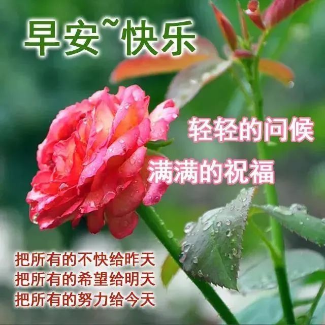 早安暖心话短句,高情商的人说的早安语句