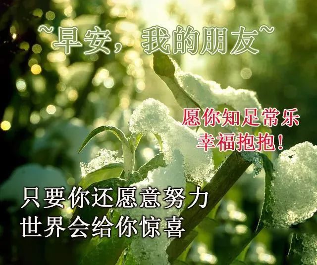 早安暖心话短句,高情商的人说的早安语句