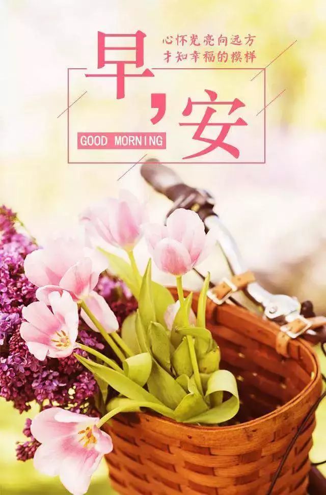 2021二月抖音励志早安说说心情,朋友圈励志正能量语录