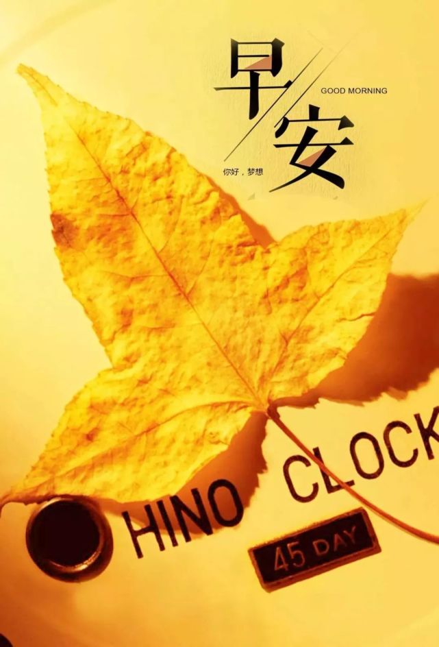 8月10日早安心语正能量精选语录句子 超好看早上好图片带字正能量2021