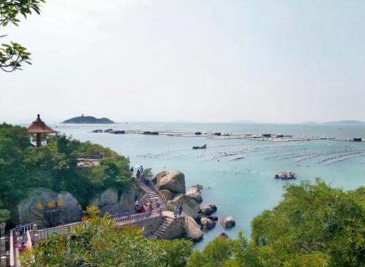 南澳 常住人口_常住人口登记表(3)
