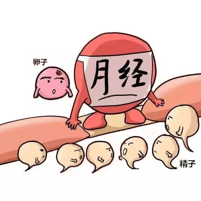 月经正常不等于排卵正常,难怪你备孕失败