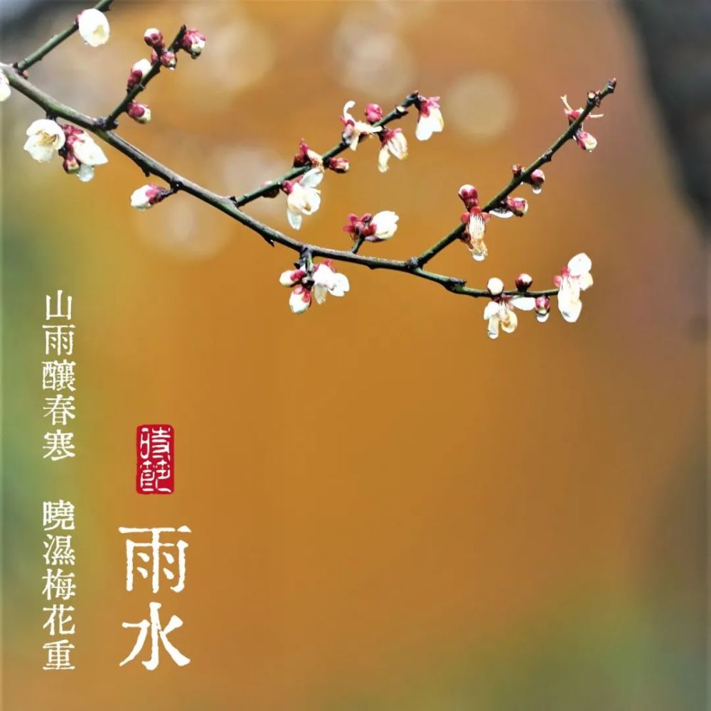 二十四节气|雨水—— 一雨普滋百草润