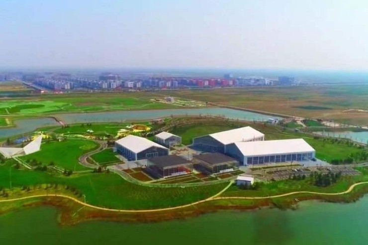 沧州 人口_沧州火锅鸡图片(3)